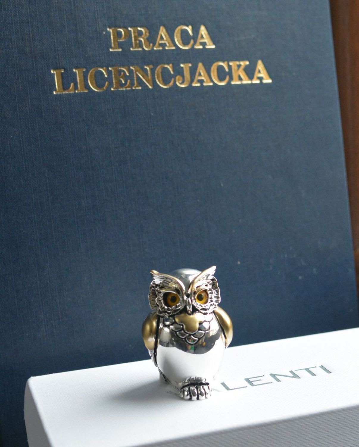 Figurka Sowa na szczęście 5,5cm VR17061 ORO. Figurka sowy to idealny prezent na wszelkie okazje, zaręczyny, złote gody, obchody, lecie, urodziny, rocznice oraz dekorację. Posrebrzana sówka..jpg